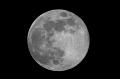 Luna piena